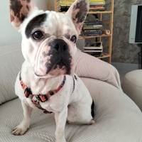 Açıklamayı okuyunuz