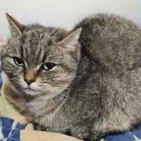 Açıklamayı okuyunuz