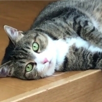 Bu güzel kıza yuva olmak ister misiniz?