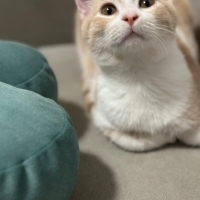 Oğlumuz poyraz ömürlük yuvasını arıyor.