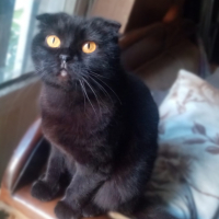 Bu güzelliğe ömürlük yuva!