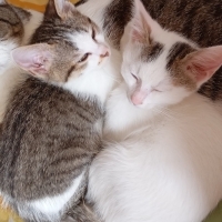 Güvenilir eller arıyoruz