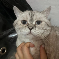 İlgi bağımlısııı