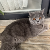 3 yaşındaki Pakizemize yeni ailesini arıyoruz