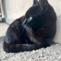 MOCHA İÇİN YUVA ❤️