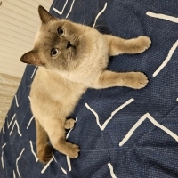 Tek istediği ömürlük mutlu bir yuva