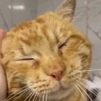 GÜÇLÜ İÇİN ACİL YUVA