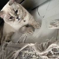 Uysal sevecen kızım