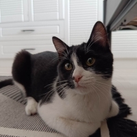 Aşırı tatlı Mia kızımıza ömürlük huzurlu bir yuva .