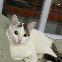 🌿🌸🩷Ömür..