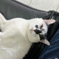 TERK EDİLEN BENEKLİ🥺