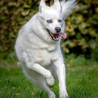 Güzel kızımıza ömürlük yuva