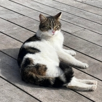 İPEK KIZ HALA YUVASINI ARIYOR