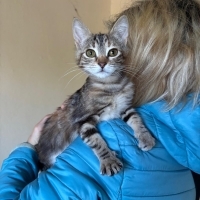 Çok ama çok şeker bir kız