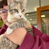 KIZGINLIĞA GİRDİ DİYE EVDEN ATILAN CİMCİM YENİ AİLESİNİ ARIYOR