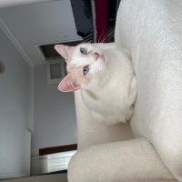 Çok ilgiyi seven sevecen bir çocuk çok kolay bağ kurabiliyor ve oyuncu