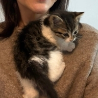 Kadir gecesinde bulundu, sokağa mı dönecek?