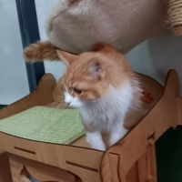 ✨️4 Aylı..