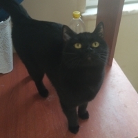 Çok acil yuva arıyoruz