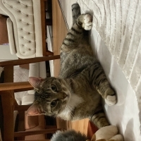 Dünya tatlısı kızımız