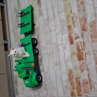 Ayıcık suratli prenses