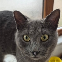 ONA BİR ŞANS VERİN