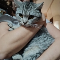 Uysal kıza güzel bir ev 🏠