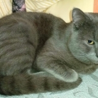 Ömürlük yuwam olurmusunuz