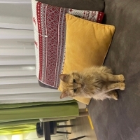 Gariban Fadi ye umut dolu bir yuva