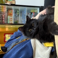 Black beautyyyyy 🖤