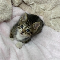 Minik kızımıza yuva