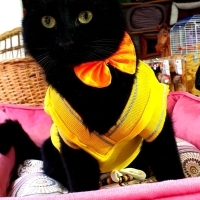 Ona Yuvanızı Açar Mısınız?