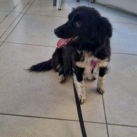 Rus Finosu Kızımız