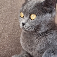 Miya için..