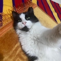 Dünya tatlısı kızımıza ömürlük yuva