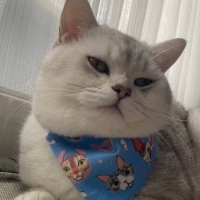 Çok uysal çocuk dostu