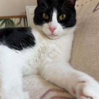 Misket için ışık olun