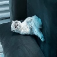 Sıcak yuva arıyoruzz