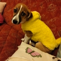 Oyuncu ve uyumlu bir kız