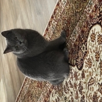 Pati ile sıkılmak yasak😄