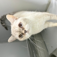 Ömürlük yuvası...