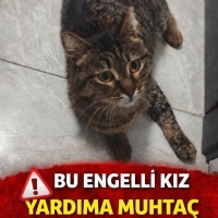 ENGELLİ H..