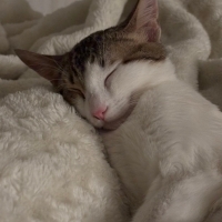 Çok cana yakın kucak ve oyun seven minik kız