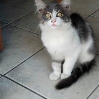 Oldukları yer kentsel dönüşümde acil yuva