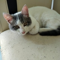 Bu güzeligin olduğu yer kentsel dönüşümde yakında yıkılacak acil yuva