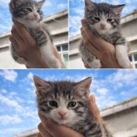 Minik kıza yuva arıyoruz