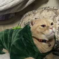şeker kız..