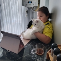 Tatlisima yuva ariyorum