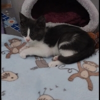 sokakta b..