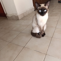 KALICI YU..